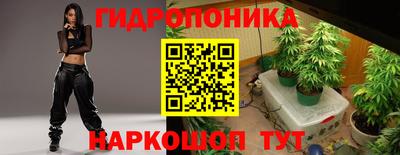 каннабис Аргун