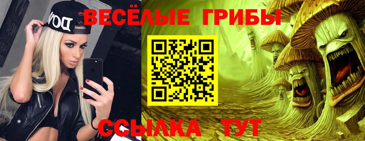 Галлюциногенные грибы GOLDEN TEACHER Аша