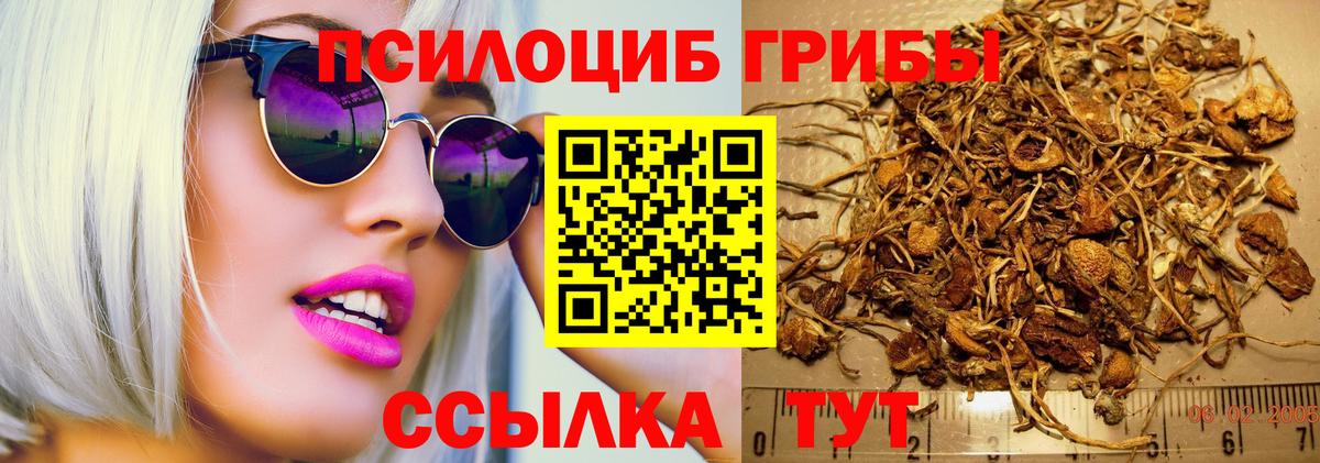 купить наркоту  Галлюциногенные грибы мухоморы  Вход с VPN  Аша 